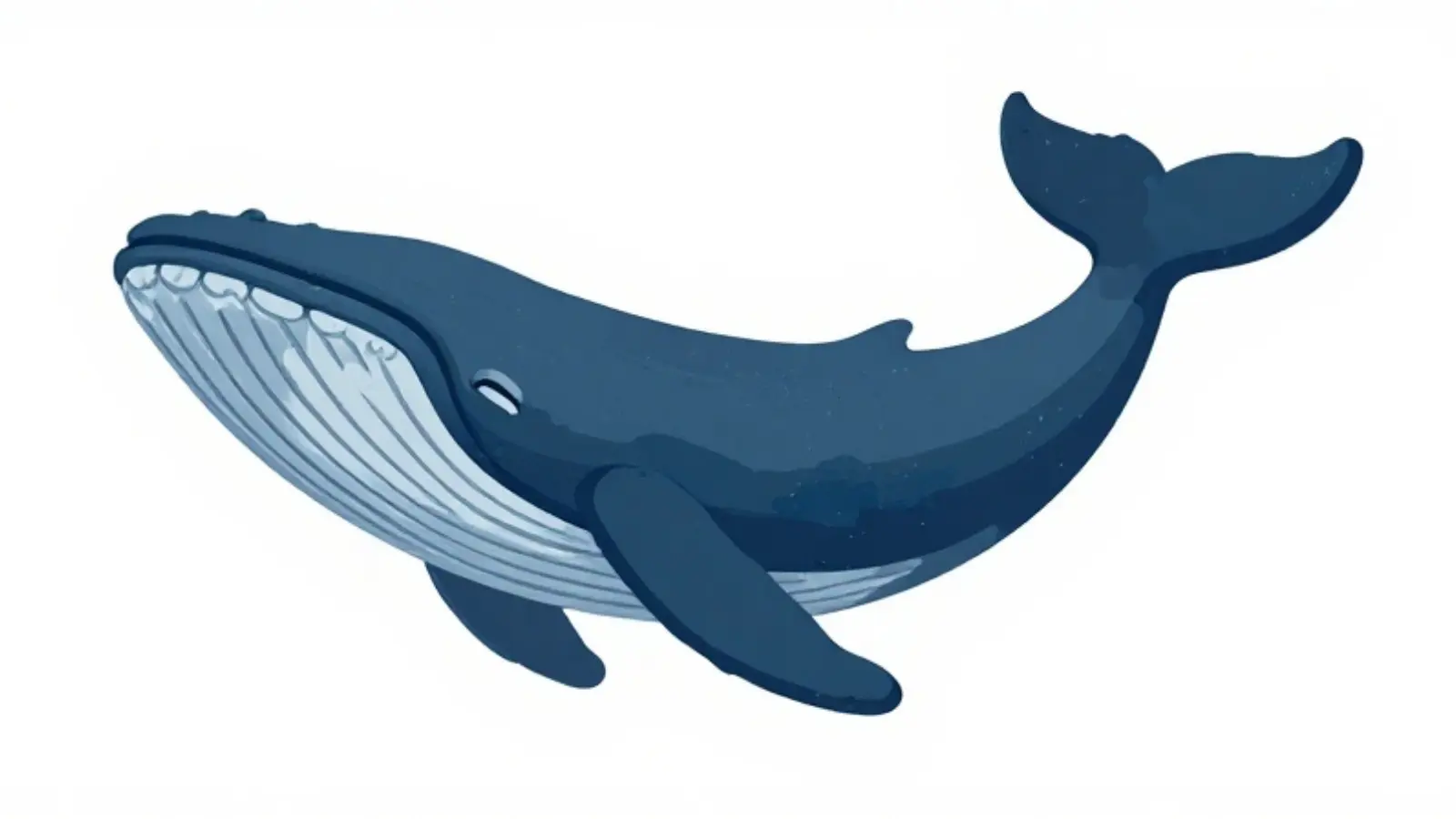 whale symbolism